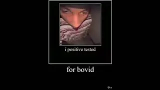he povited tested for bovid