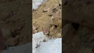 газ 53 засипало глиною