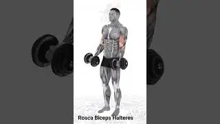 Rosca Bíceps Halteres