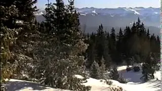 1993 TMT 1