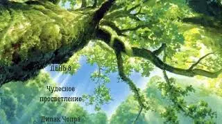 День 9. Чудесное просветление. Дипак Чопра.