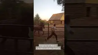 Большой малыш🥰ТГ: Семейка Yulchiik💋 #тренд #horse #конник #конныйспорт #лошади #лошадь #конь