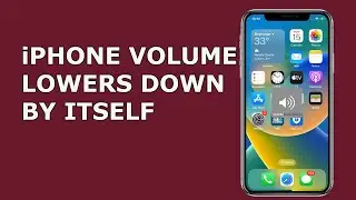 iPhone volume lowers down by itself - How to Fix the issue