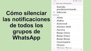 Cómo silenciar las notificaciones de todos los grupos de WhatsApp  