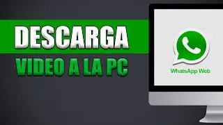 How to Download a Video from WhatsApp Web to Your PC