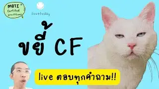 ไลฟ์ EP.1 ขยี้ CF กันนนนน : MBTI ilovetoday วันนี้ดีที่สุด