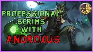 PROFESSIONAL DPS PALADINS SCRIMS - Pro Androxus Gameplay! #3