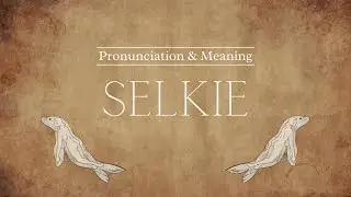 How to Pronounce: Selkie | Pronunciation & Meaning (British English)