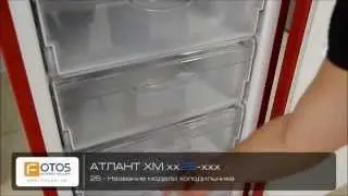 Холодильники Atlant ХМ .ОБЗОР