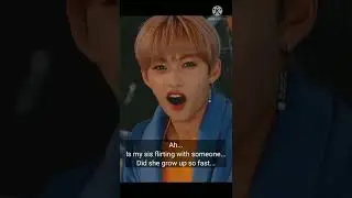 [SKZ Reaction] When a guy is flirting with you .....(them as your brother)