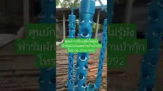 ทดสอบ โรงเรือนไม้ยูคางี่เง่าๆ หลังคาพลาสติกบางๆ จะรอดไหม