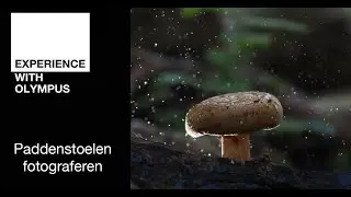 Learn With Olympus (15) | Paddenstoelen fotografie