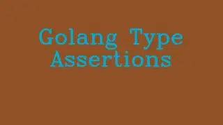 Golang Type Assertions && NoTalk