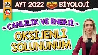 Oksijenli Solunum | AYT Biyoloji 