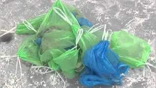 На природу 06.02.2016