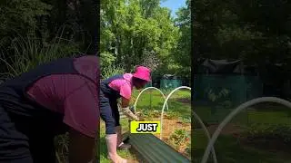 What’s happening in the garden?