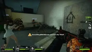 Left 4 Dead 2 lots of mods 1440P SLI