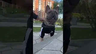 Пацан с района 🤘