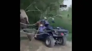 Российская армии грабит своё де населения