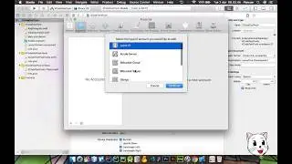 Git & Version Control - Configure Git in XCode