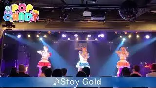 Stay Gold(Live full ver.) -POP CANDY -