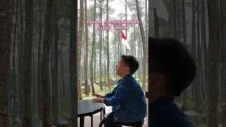 Suaranya bagus banget
