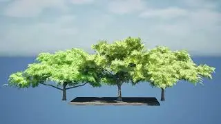 Tropical Rain Tree 3D Animation with unreal engine