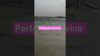 Perfeição Divina