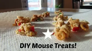 DIY Mouse Treats! | DIY