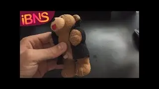 Hilarious naked swearing bear toy