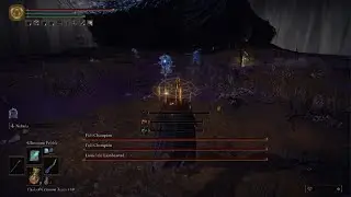 ELDEN RING- Fia's Champions Boss Fight