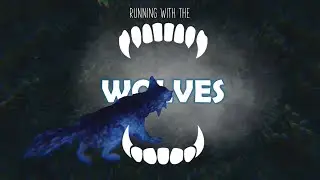 Running With the Wolves || an SSO edit