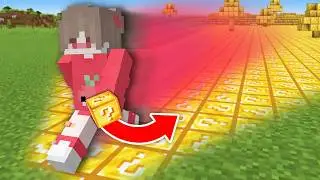 Minecraft but BLOCKS TURN INTO WHAT I HOLD!
