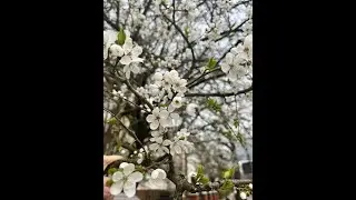 Андрей с днем рождения