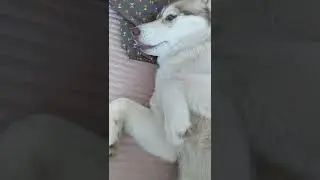 Иришка кайфушница! часть1