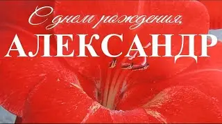 АЛЕКСАНДР, С ДНЕМ РОЖДЕНИЯ