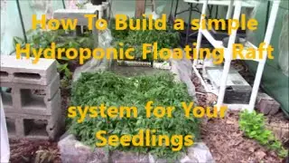 How To Build a Simple Hydroponic Floating Raft System for Seedlings