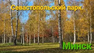 Севастопольский парк в Минске. Эко тропа. Посёлок белок. Город птиц.