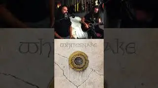 WHITESNAKE Acoustic Cover - Give Me All Your Love