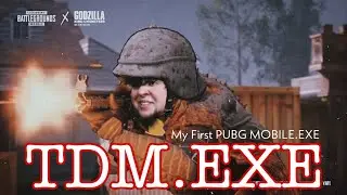 TDM.EXE | My First PUBG MOBILE.EXE