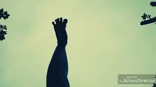 Legs