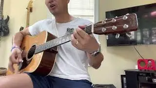 Heart of Gold Neil Young Played on 1962 Martin D28