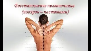 Восстановление позвоночника (изохрон – частотами)