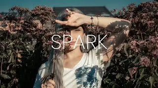 Blanke - Spark (Lyrics) ft. Dia Frampton