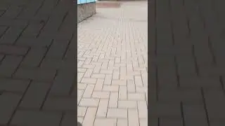 5 июня 2024 г.