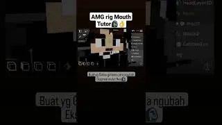 AMGrig Tutor 