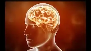 Nerium EHT Brain Health