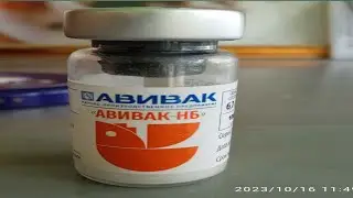 Кабутарларни емлаш хакида малумот шшувидеодаги кабутарлар сотилади