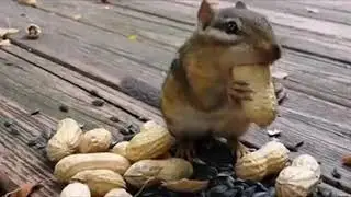 Beautiful video in YouTube.
