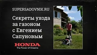 Секреты ухода за газоном с Евгением Сапуновым